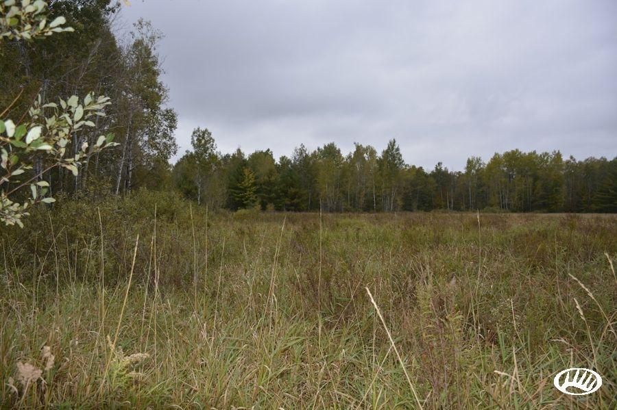 40 Acres, 80th Avenue, Cadott, WI 54727 Land and Farm