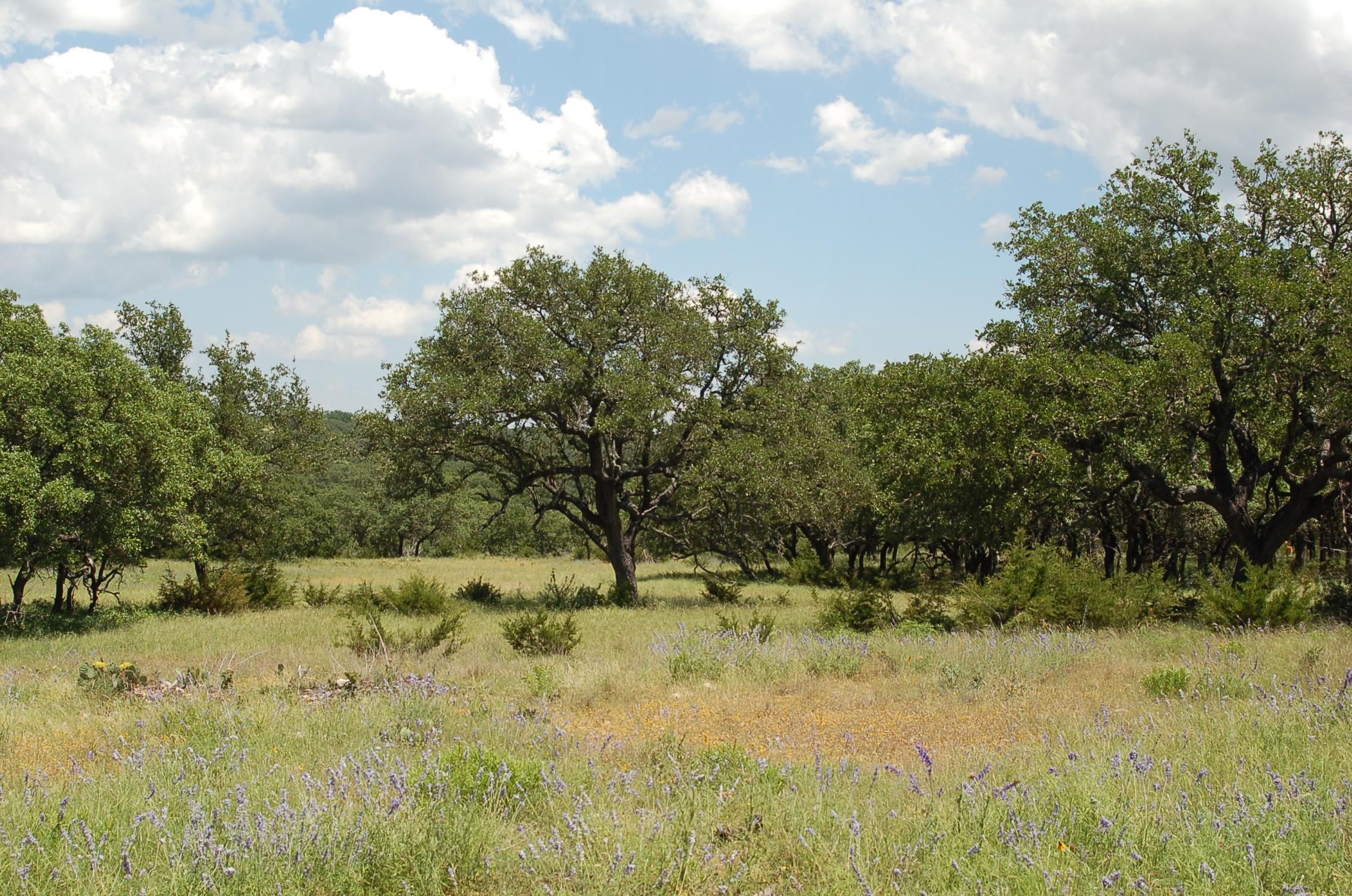 500 Acres, Mountain Home, TX 78058 Land and Farm