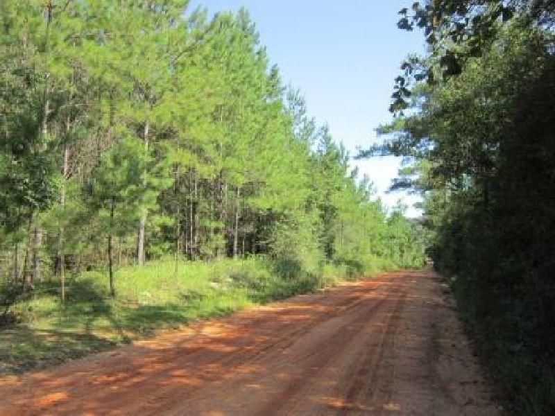 78 Acres, Paxton, FL Land and Farm