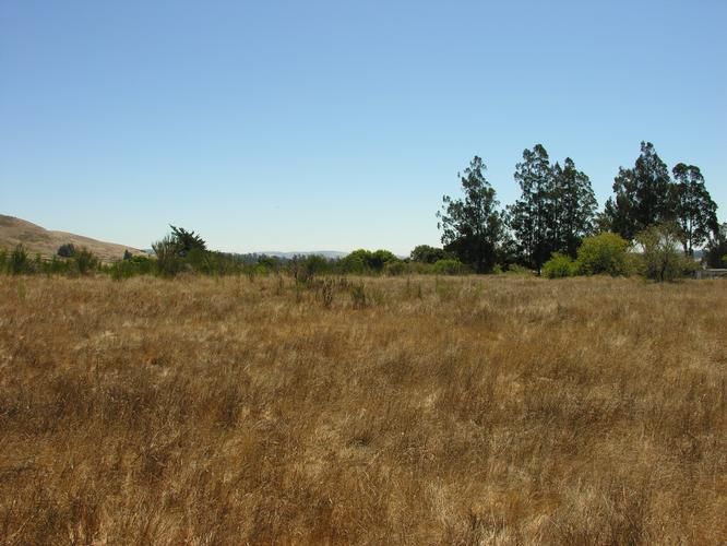 75 Lori Lane, Petaluma, CA 94952 Land and Farm