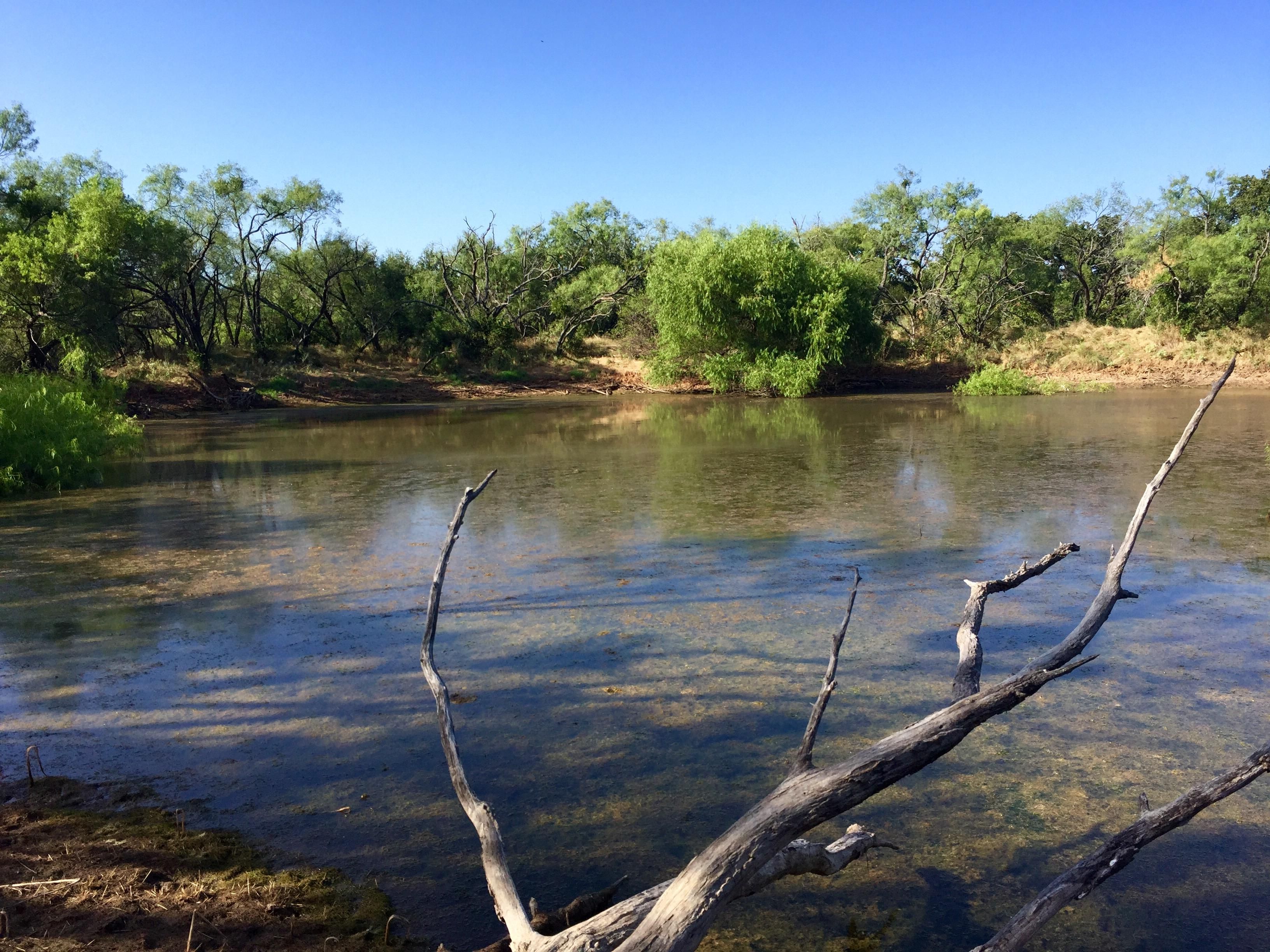 141 Acres, 000 FM 583, Rising Star, TX 76471 Land and Farm