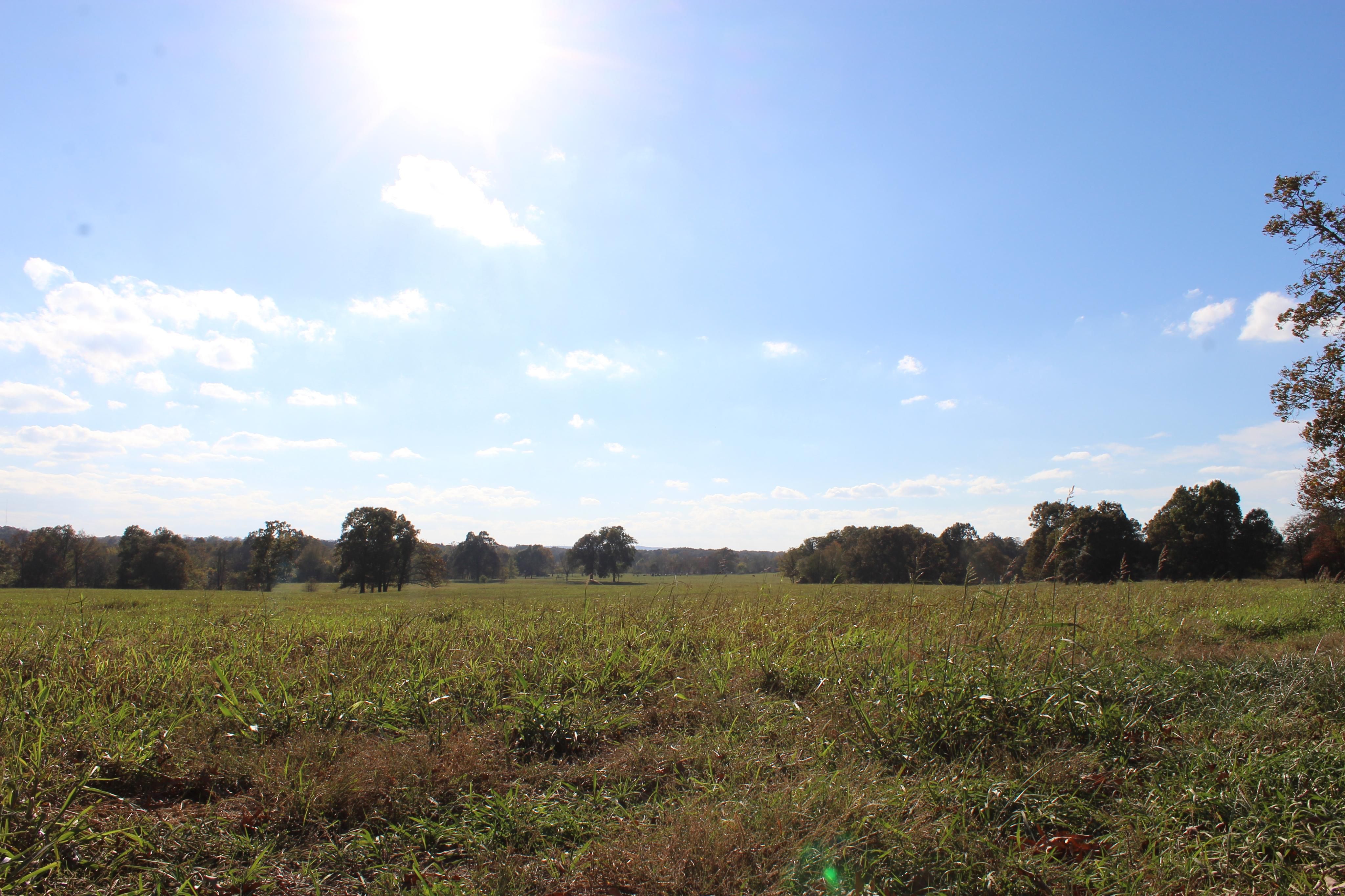 50 Acres, Hardwood Rd., Springdale, AR 72764 Land and Farm