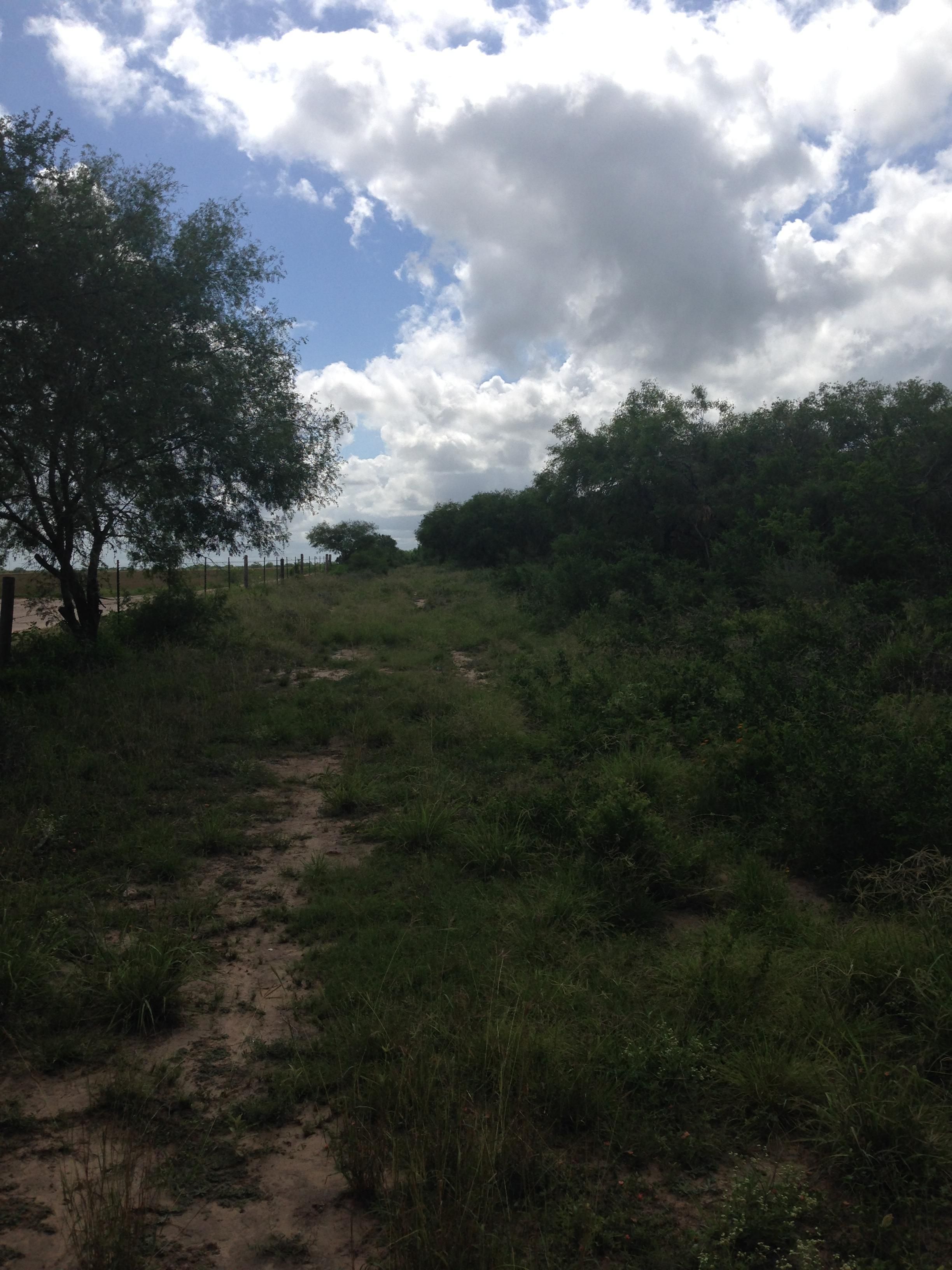 125 Acres, Ben Bolt, TX 78332 Land and Farm