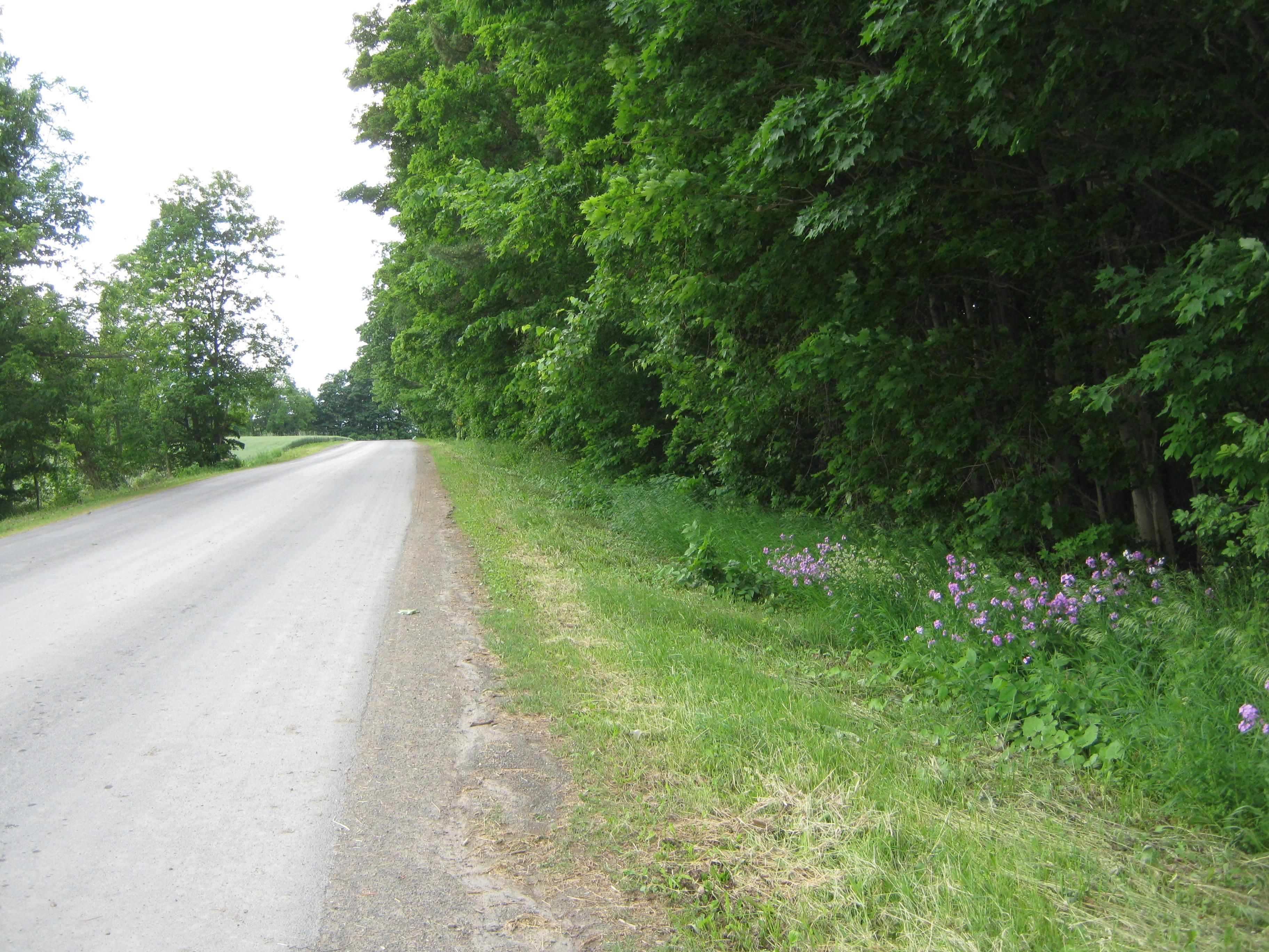 6.19 Acres, Pine Ridge Road, Trumansburg, NY 14886 Land and Farm