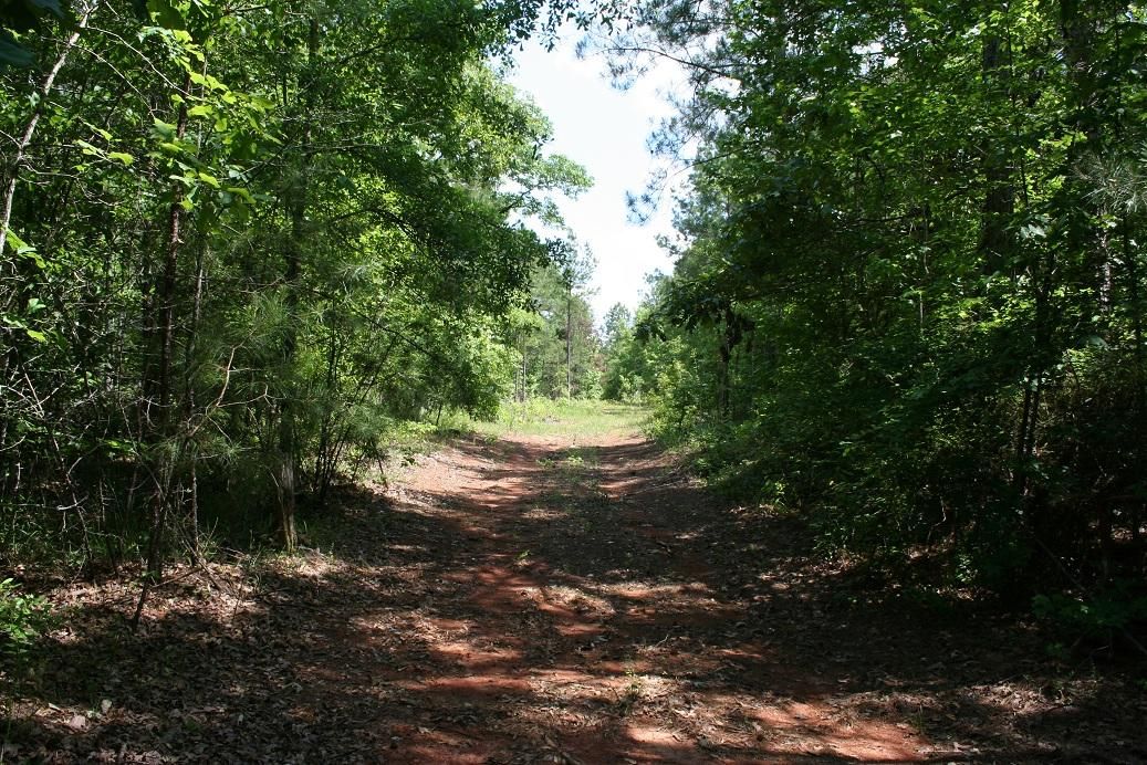 100 Acres, Forest Home, AL 36030 Land and Farm