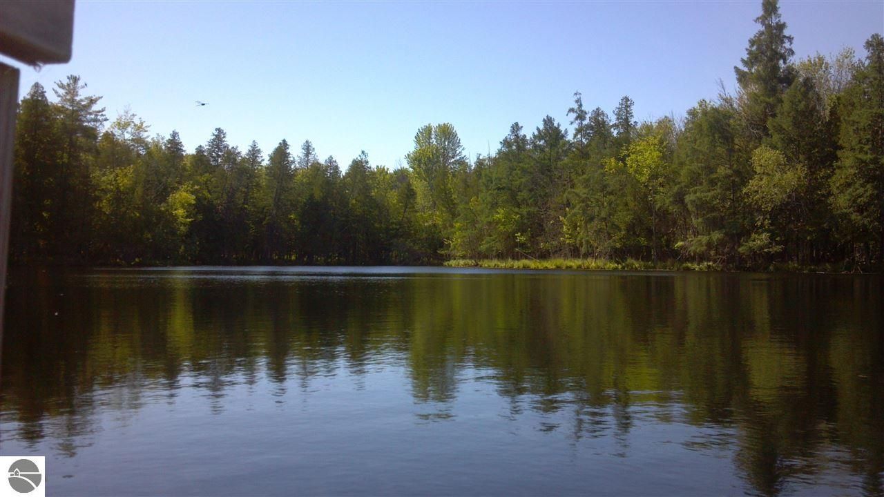 160 Acres, 6751 Mt Hope Road, Riverdale, MI 48877 Land and Farm