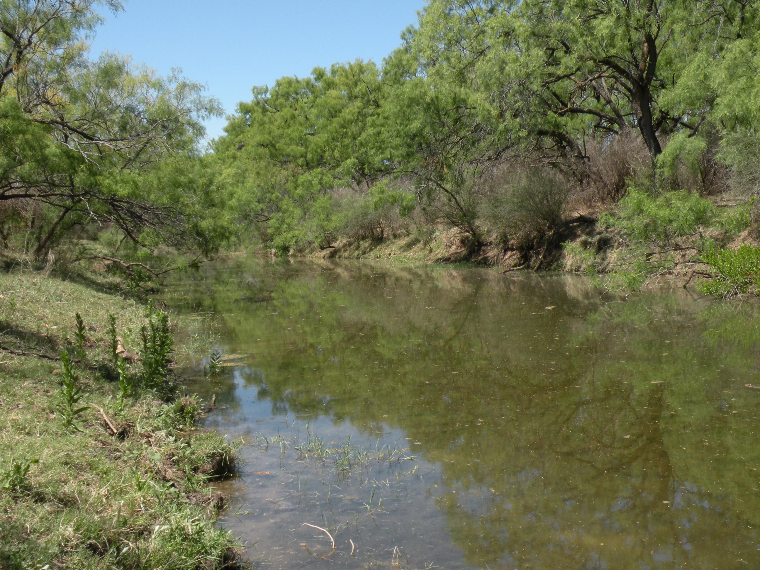 156 acres in Doole, TX, 76836 Land and Farm