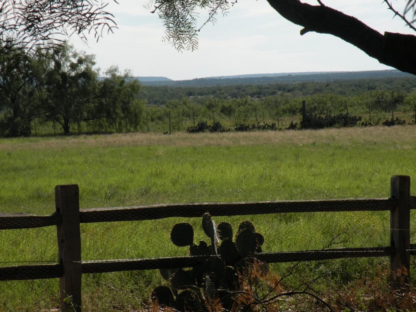 355 Acres, Doole, TX 76836 Land and Farm
