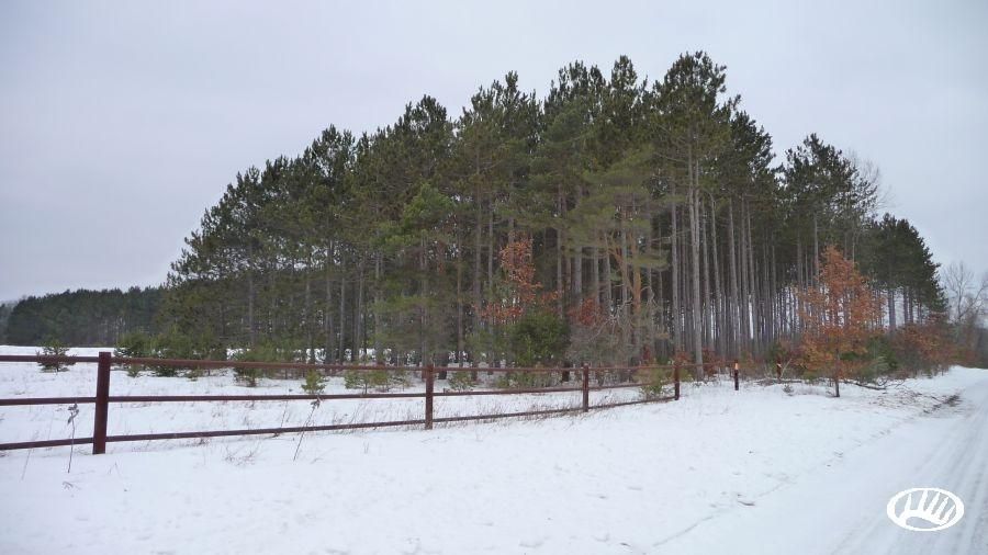 69 Acres, Bringold Road, Lake MI 48633 Land and Farm