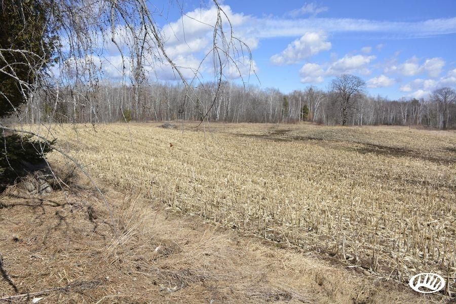 120 Acres, 290th Street, WI 54745 Land and Farm
