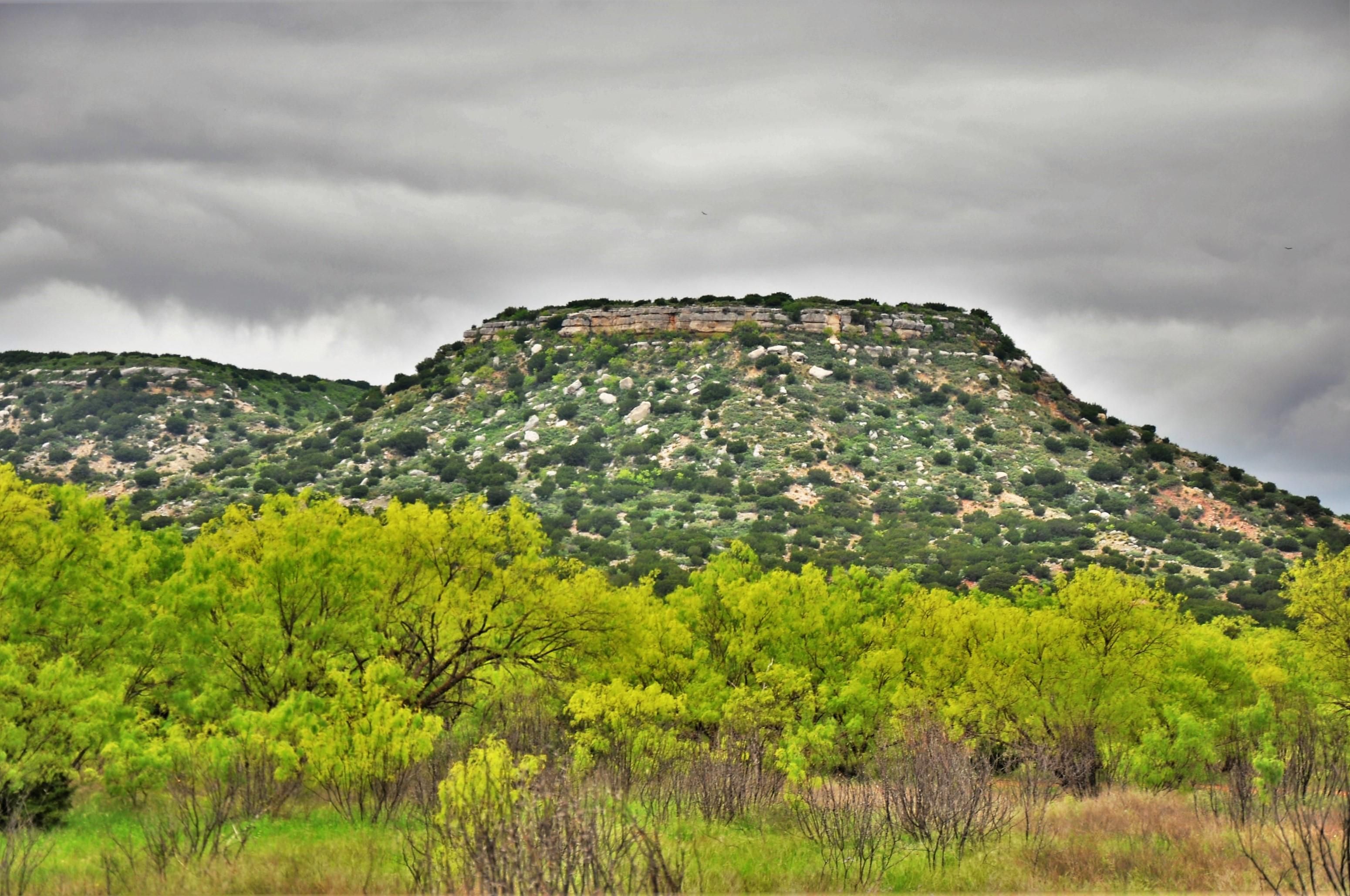 1,525 Acres, 1517 County Road 175, Winters, TX 79567 Land and Farm