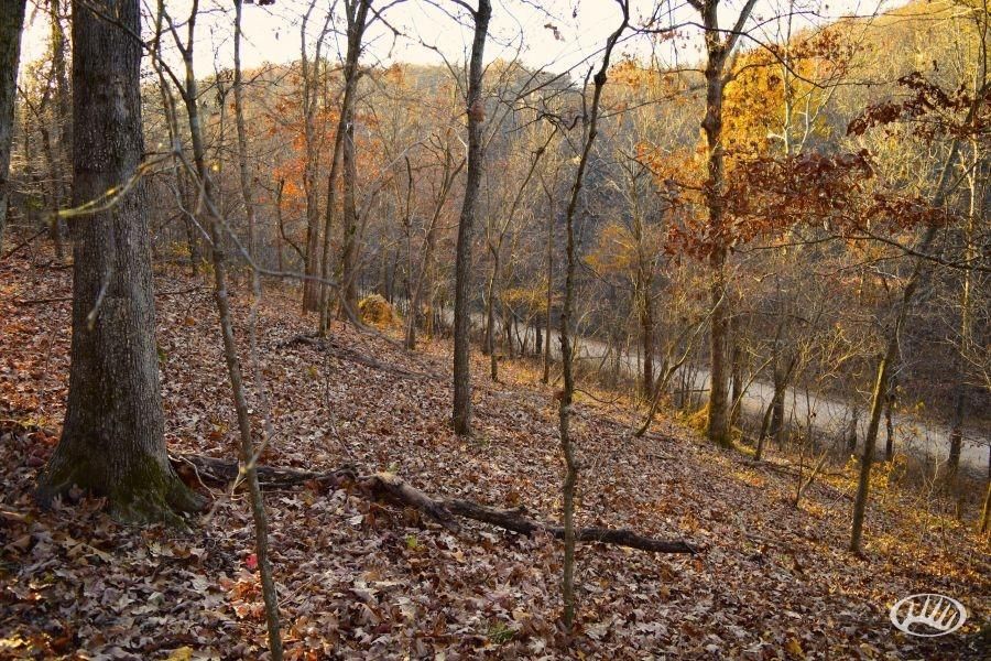 20 Acres, N 4540 Road, Kenwood, OK 74366 Land and Farm