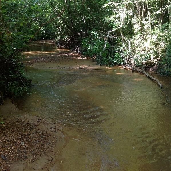 752 Acres, Chigger Ridge Road, Brookwood, AL 35444 Land and Farm