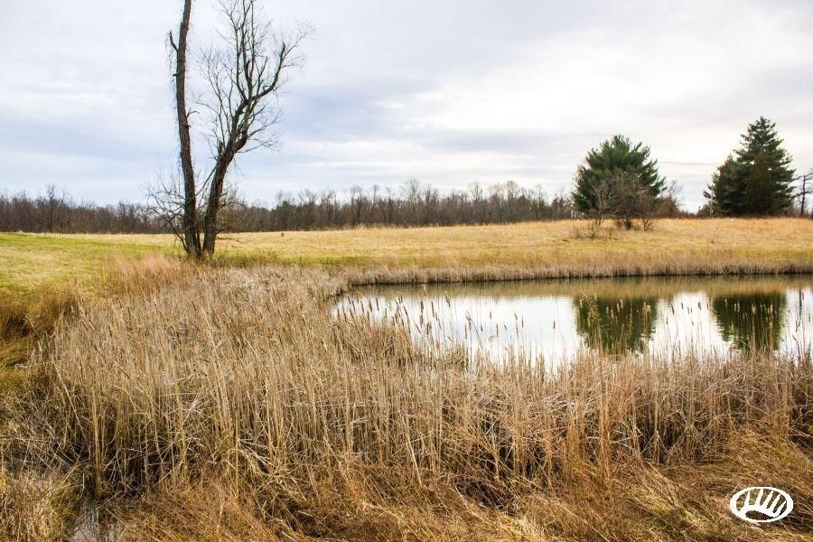 73.45 Acres, 5588 Cliff Wilson Road, Corning, OH 43730 Land and Farm