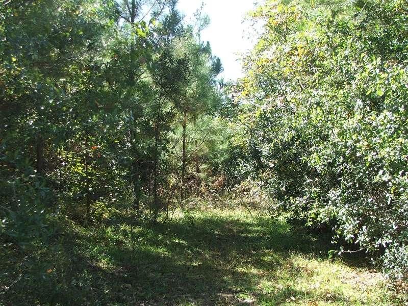 16 Acres, Centreville Street, Marion, AL 36756 Land and Farm