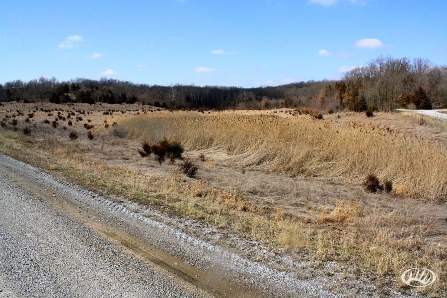 13 Acres, Jenny Ridge Road, Carrier Mills, IL 62917 Land and Farm