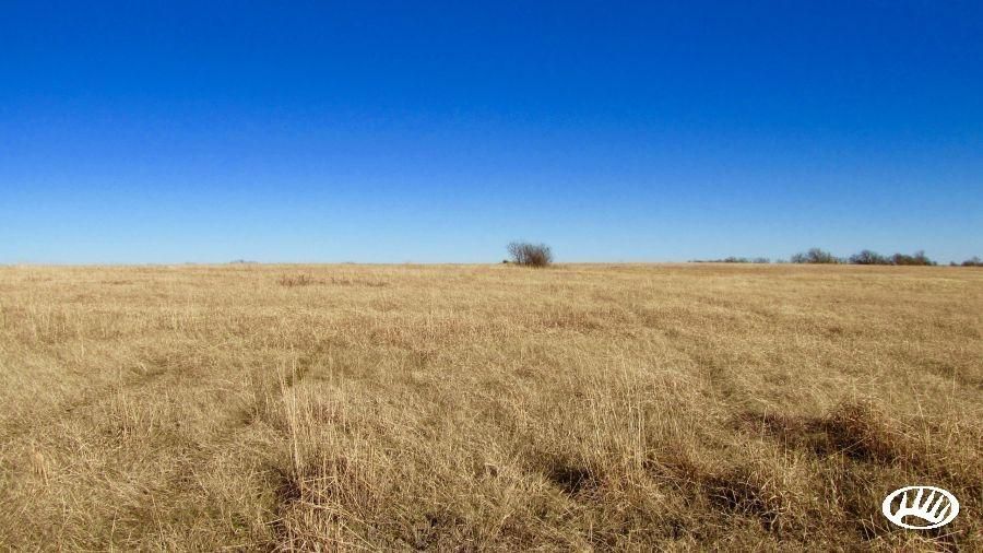 81 Acres, Planter Road And NE 26th, Waverly, KS 66871 Land and Farm