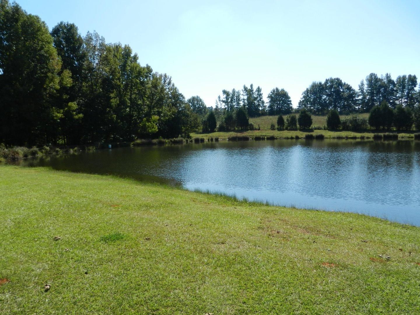 40 Acres, cO RD 87, Roanoke, AL 36274 Land and Farm