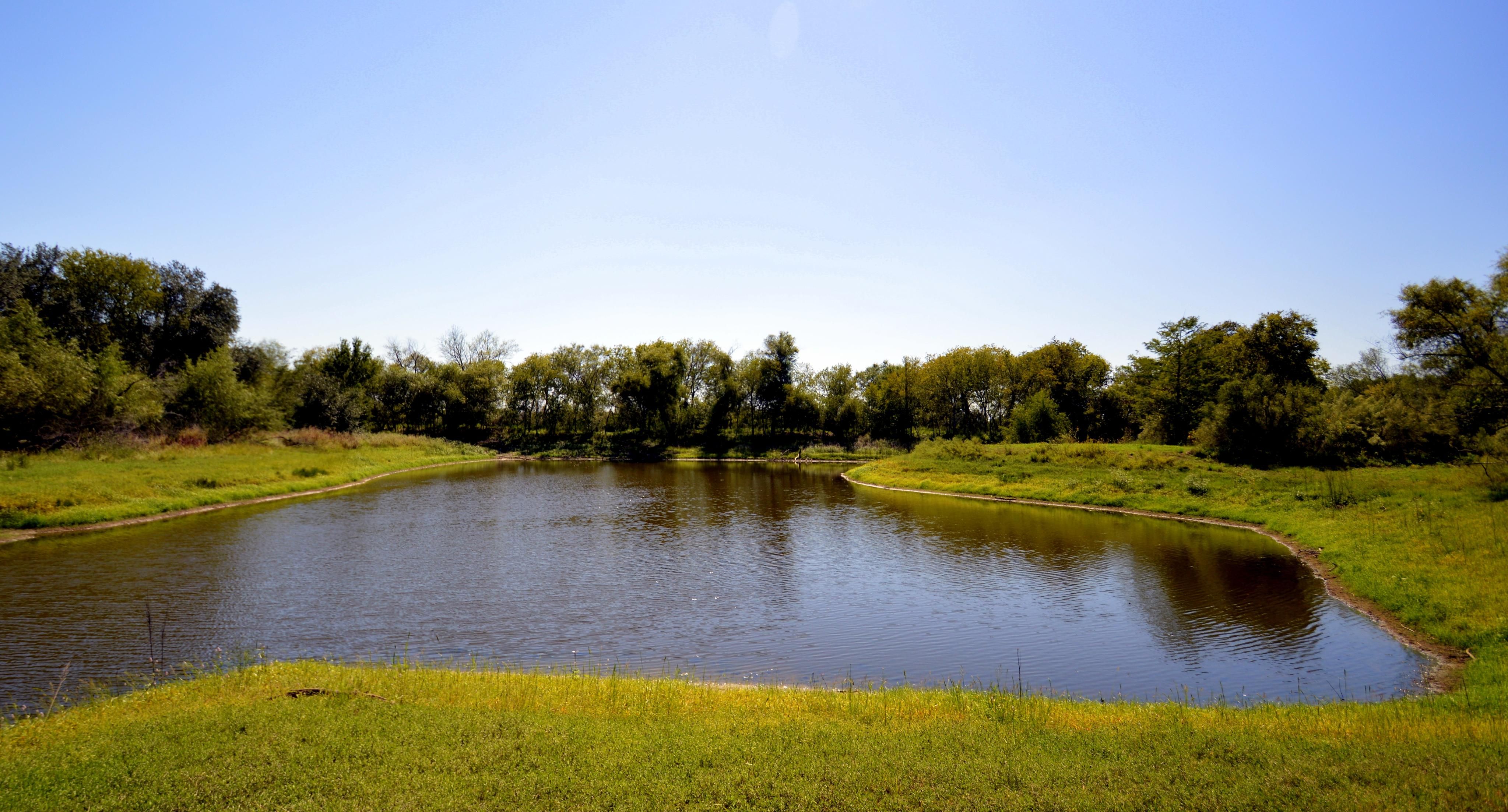 51 Acres, HWY 281 South, Pleasanton, TX 78064 Land and Farm