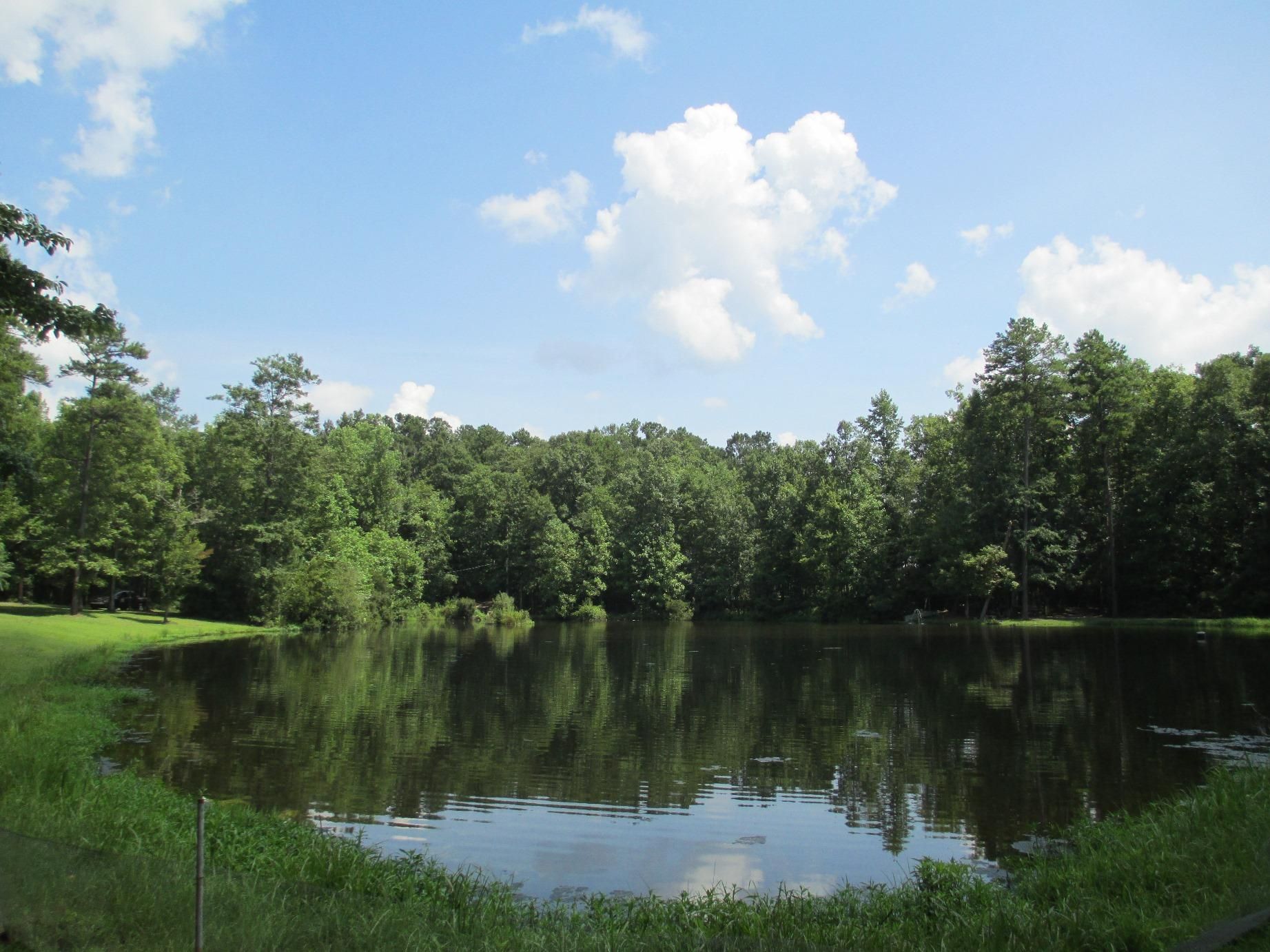 7 Acres, Elba, AL 36323 Land and Farm