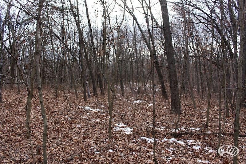 40 Acres, Highway NN, Kahoka, MO 63445 Land and Farm