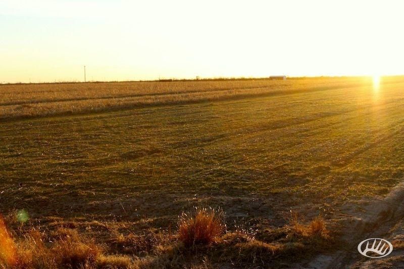 1,480 Acres, FM 1357, Big Lake, TX 76932 Land and Farm