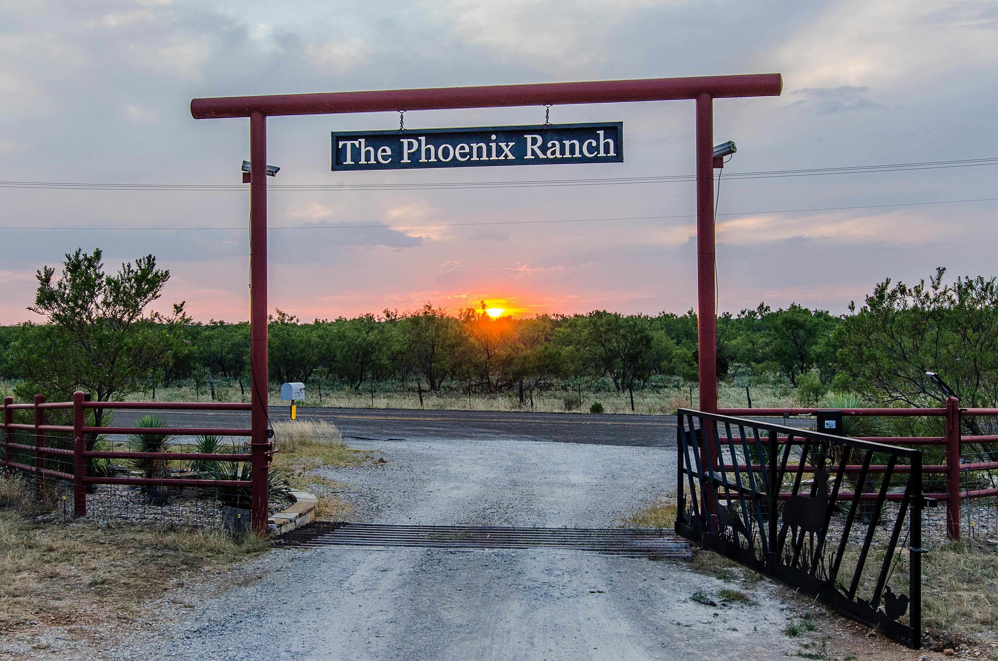 711 FM 2461, Ranger, TX 76470 Land and Farm