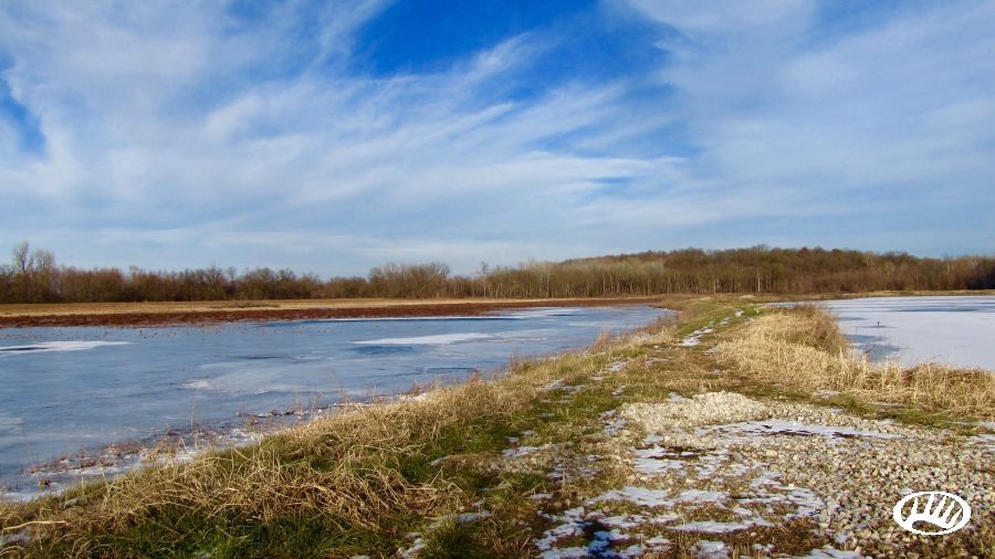 203 Acres, 17102 E. 2300 Road, La Cygne, KS 66040 Land and Farm