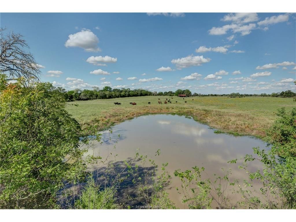 N Old Springfield Road, North Zulch, TX 77864 Land and Farm