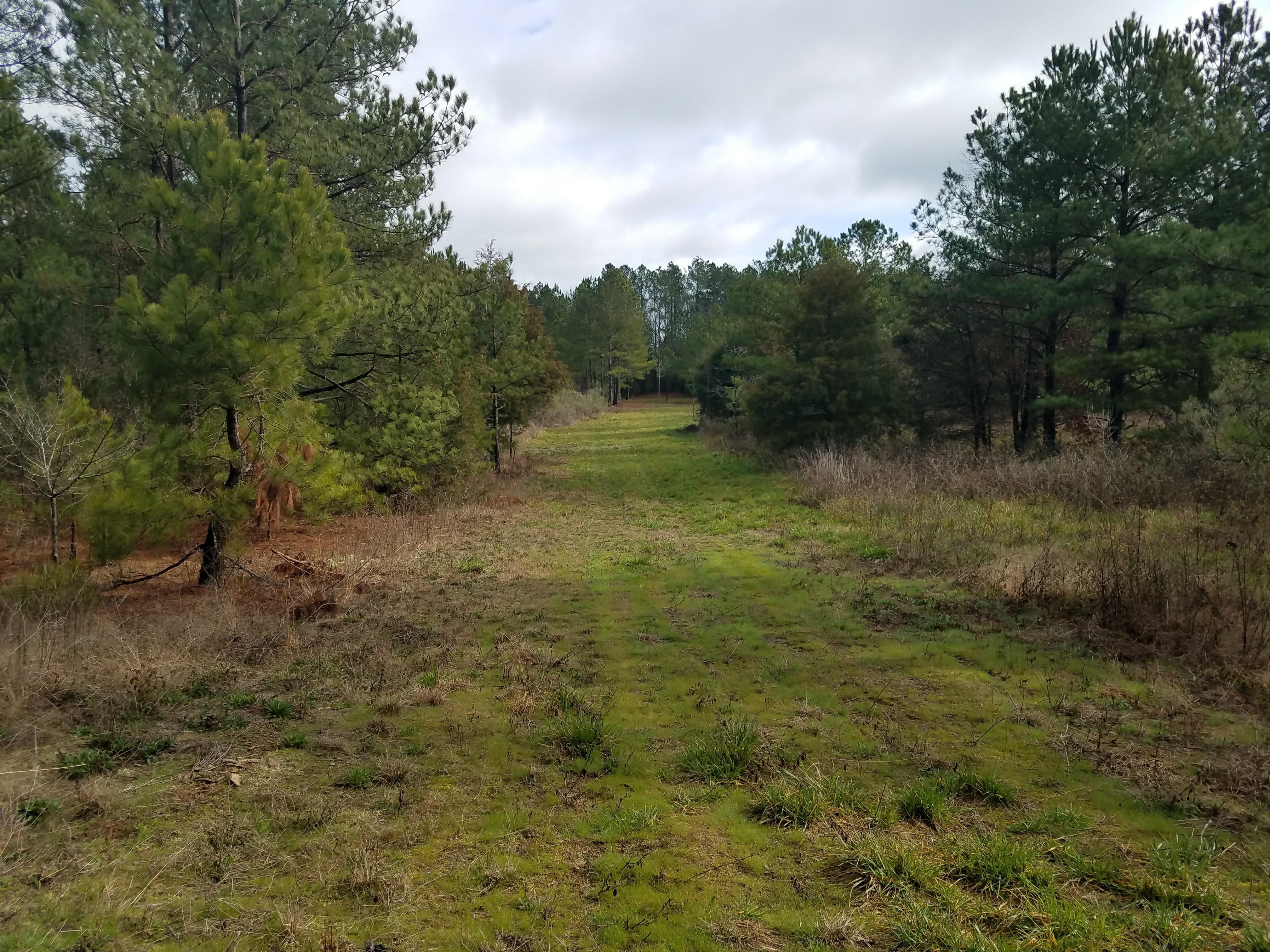73 Acres, 212 Fairfax Road, Chappells, SC 29037 Land and Farm