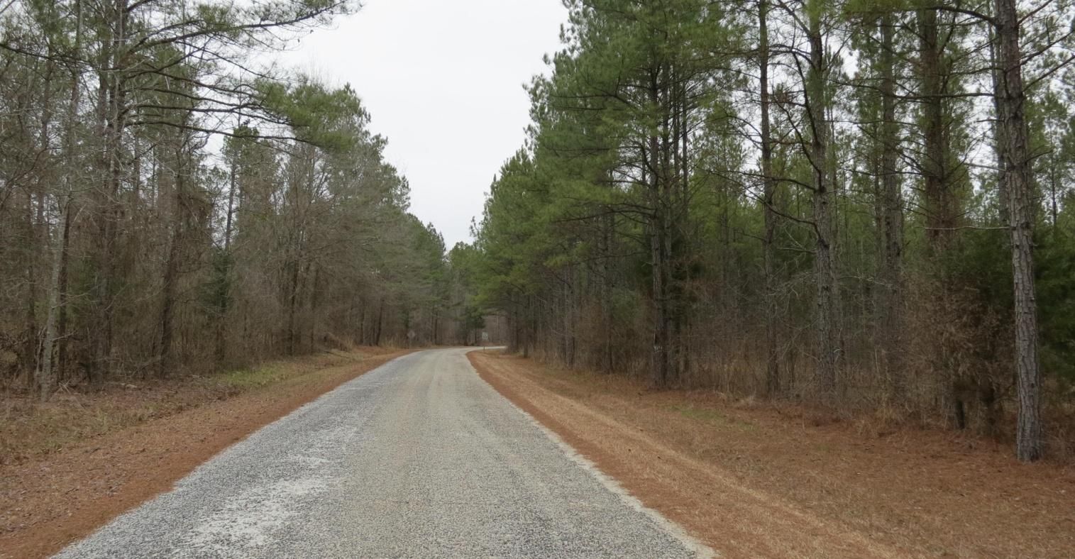 289 Acres, Hwy 67, Callison, SC 29819 Land and Farm
