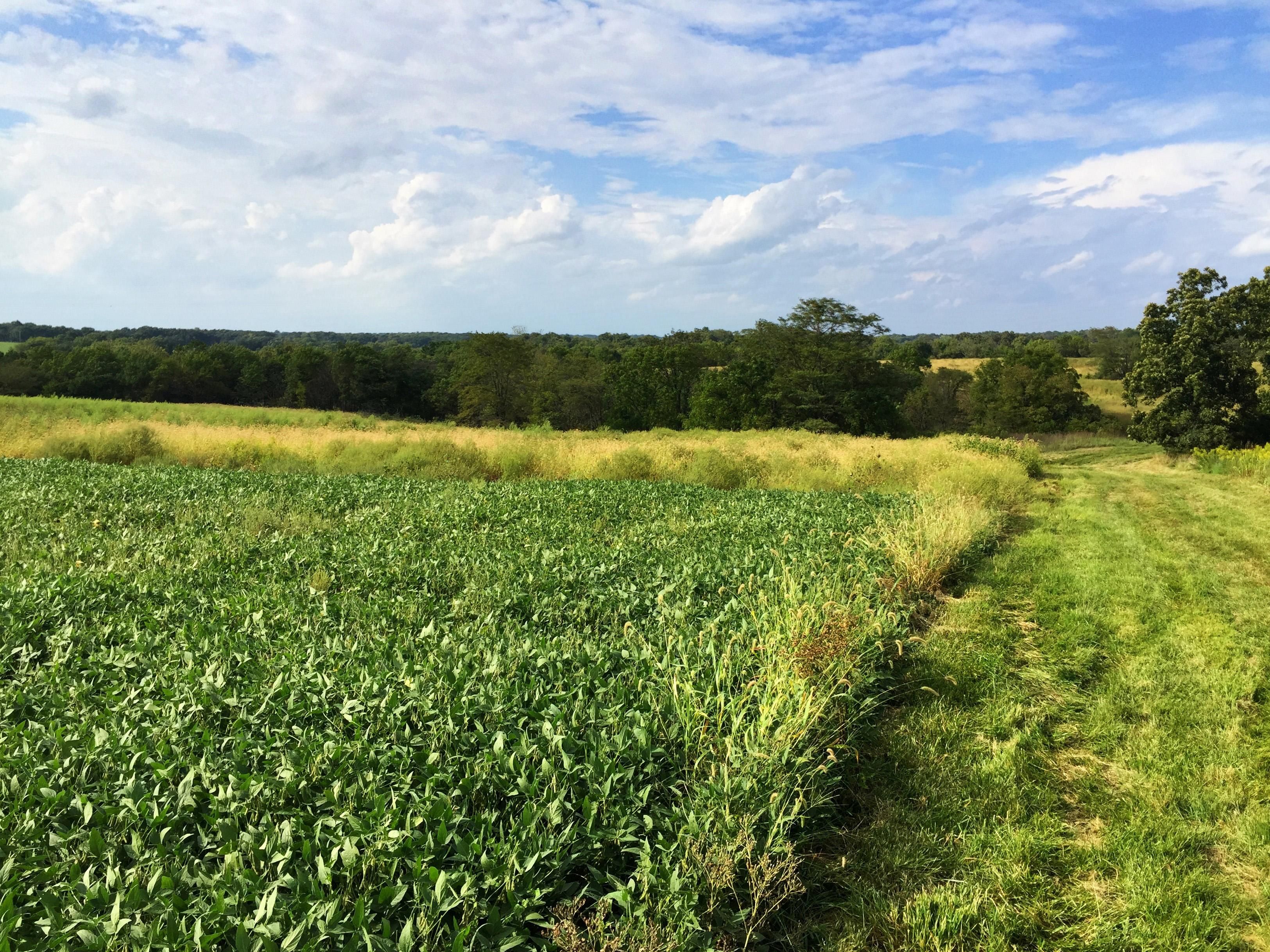 00 Elgin Cannon Road, Eolia, MO 63344 Land and Farm