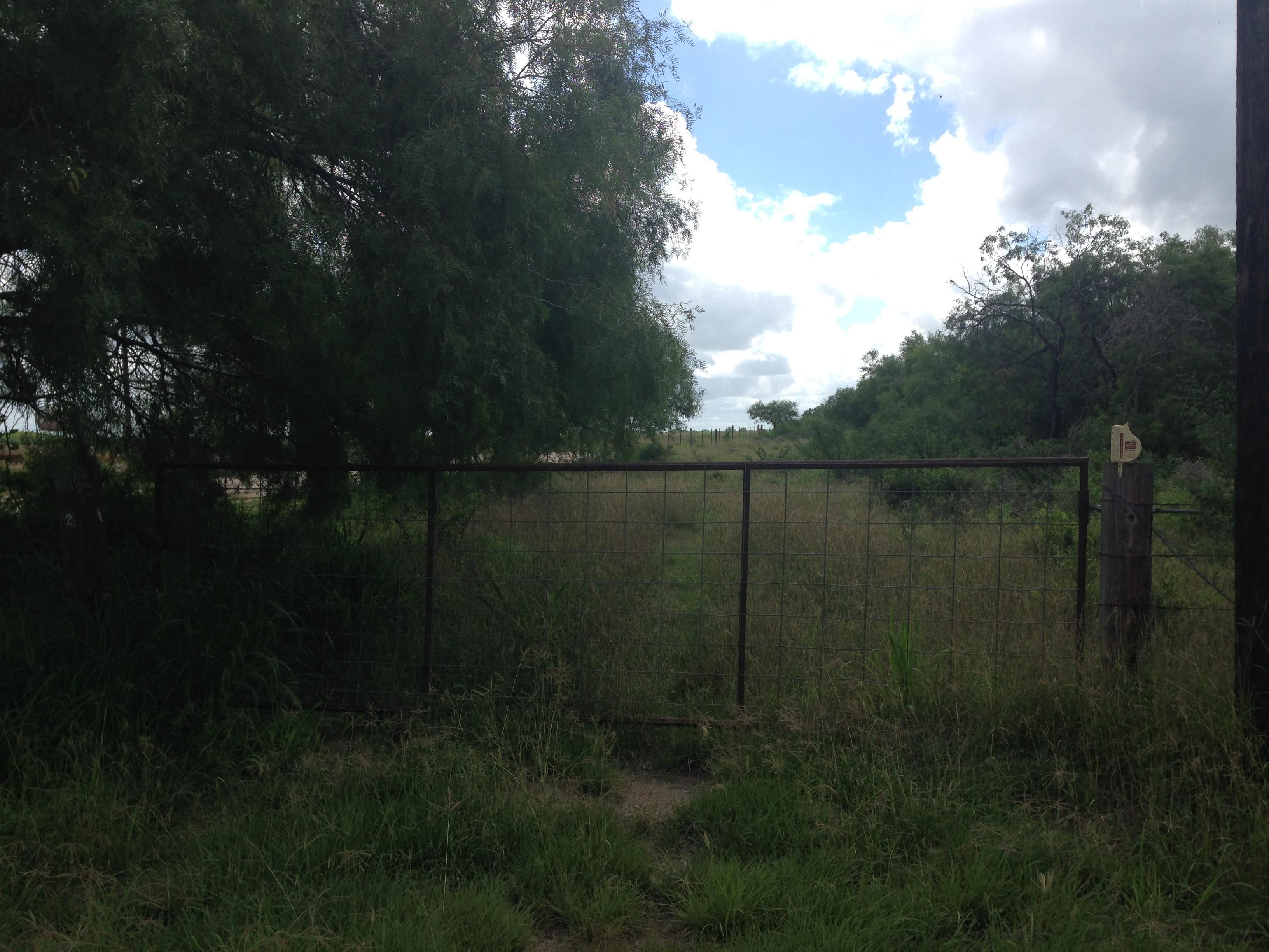 181 Acres, Ben Bolt, TX 78332 Land and Farm