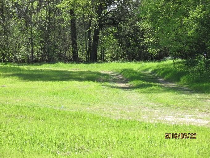 15.42 Acres, 341 Pct Rd. 8164, Ben Wheeler, TX 75754 Land and Farm