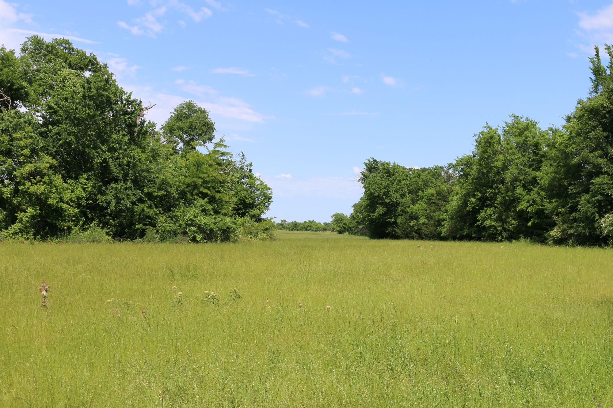 18 Acres, 4853 FM 1428, Madisonville, TX 77864 Land and Farm