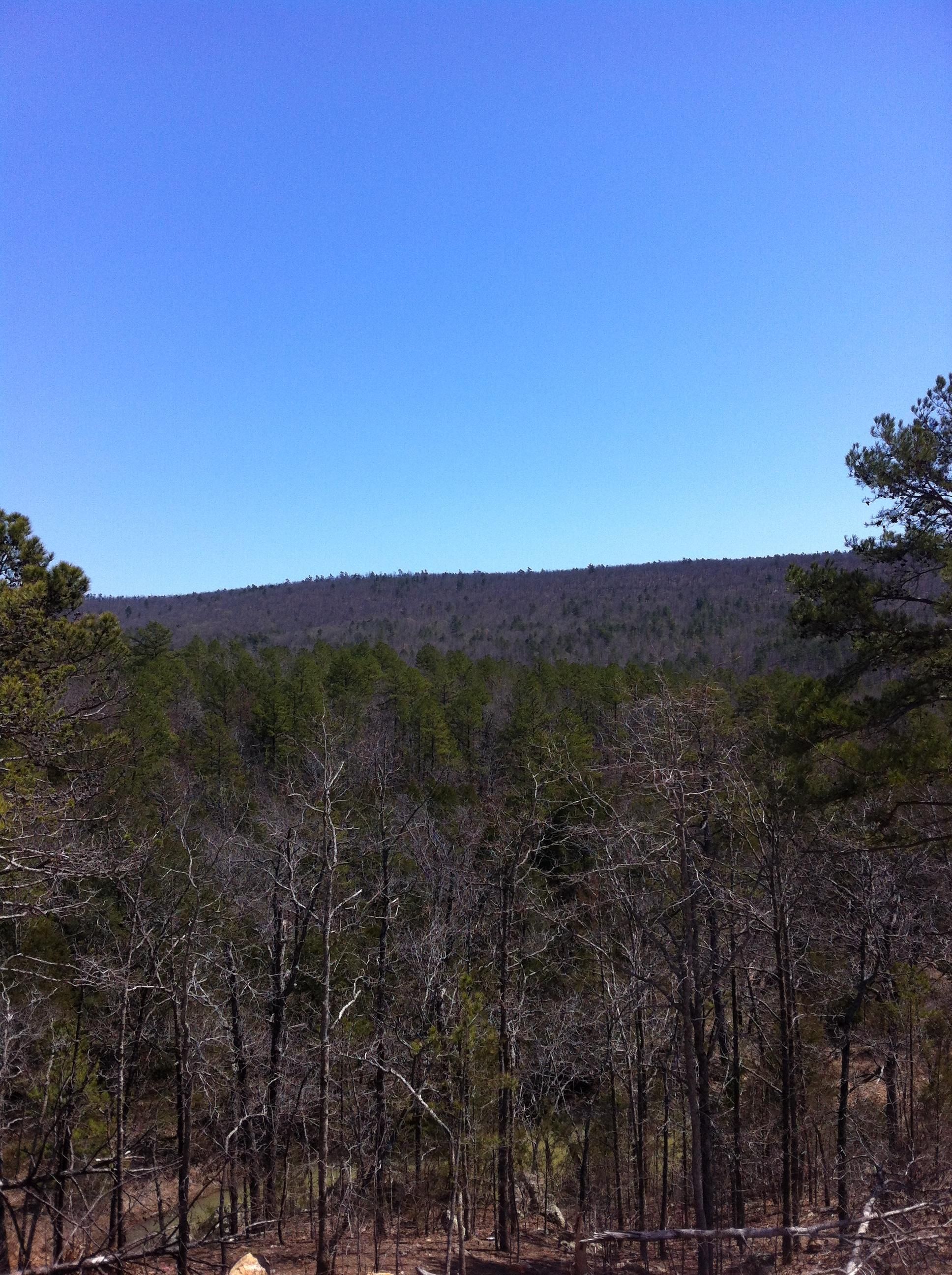 325 Acres, Clayton, OK 74536 Land and Farm