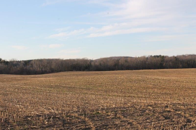 106.77 Acres, Lane Road, Cazenovia, NY 13035 Land and Farm