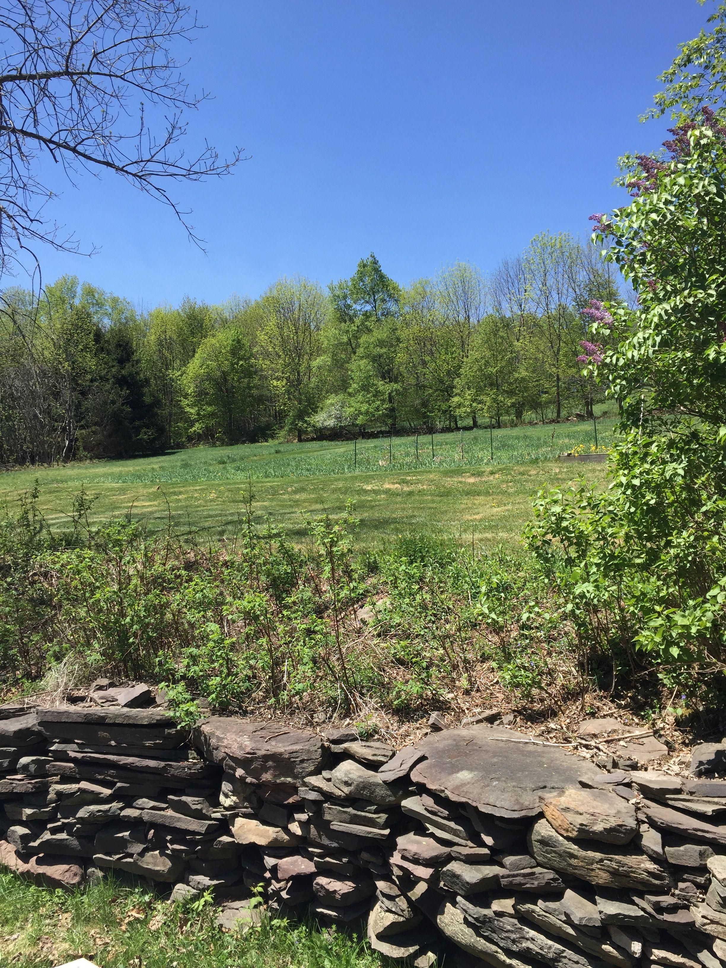 112 Acres, 879 Smith Hill Rd, Meredith, NY 13757 Land and Farm