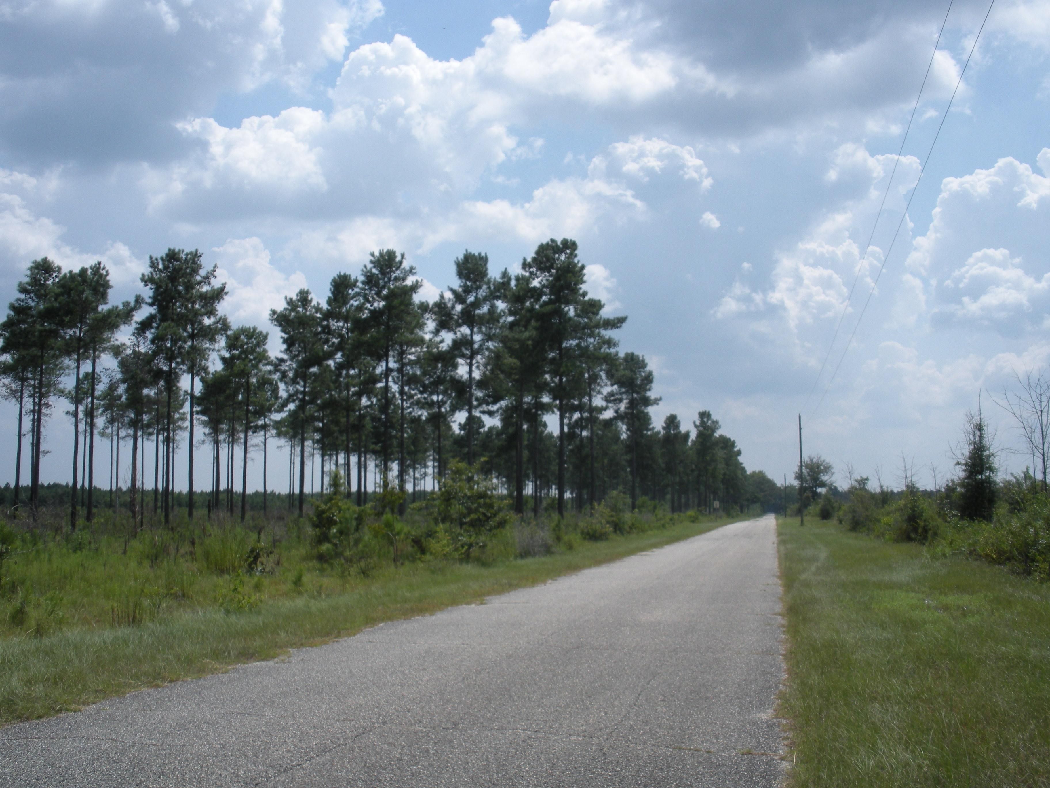 27 acres in Munson, FL, 32570 Land and Farm