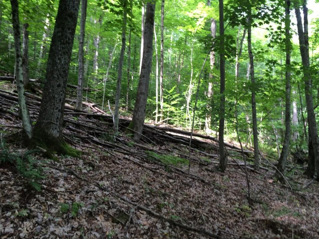 36.3 Acres, Old State Route 17E, Bolivar, NY 14715 Land and Farm