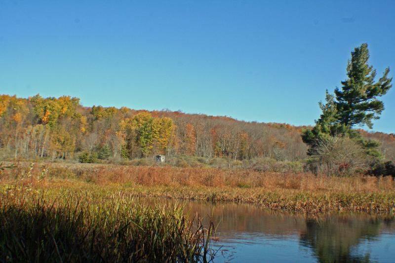 52.9 Acres, Fairview Road, Centerville, NY 14029 Land and Farm