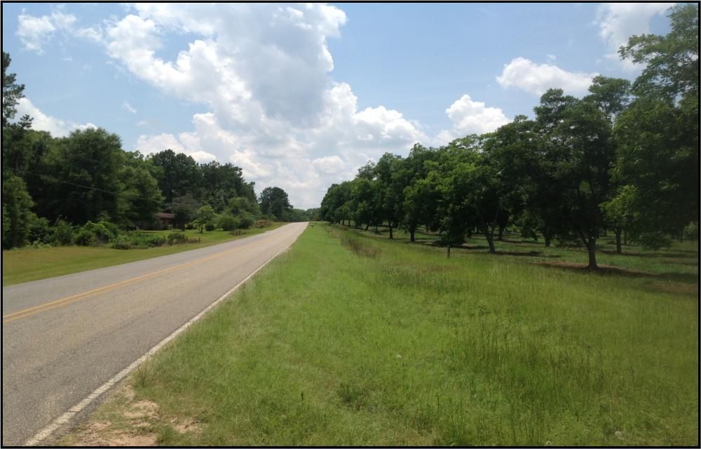 23005 Pecan Orchard, Andalusia, AL 36420 Land and Farm