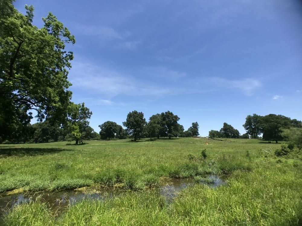 120 Acres, Purcell, MO 64857 Land and Farm