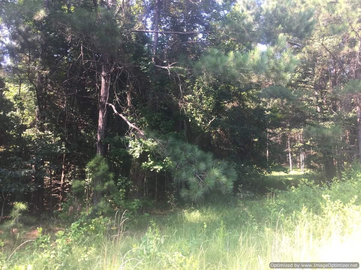 80 Acres, Goodman, MS 39079 Land and Farm