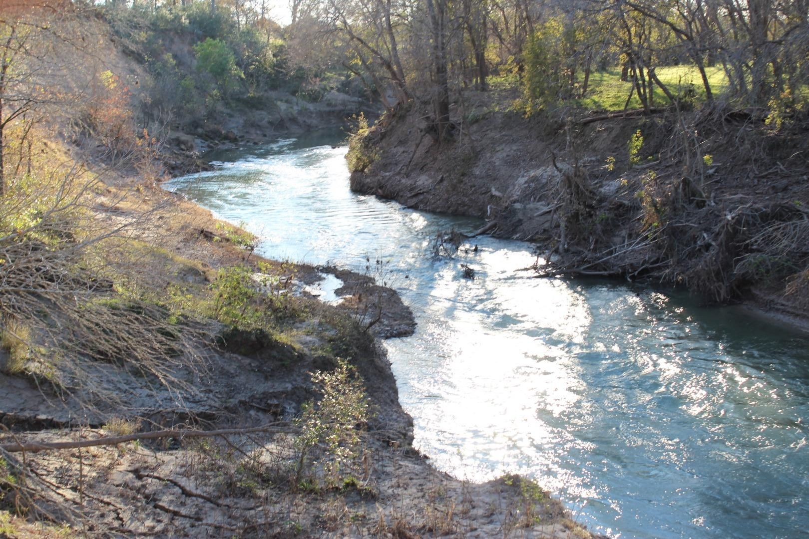 313 Acres, FM 2091, Ottine, TX 78629 Land and Farm