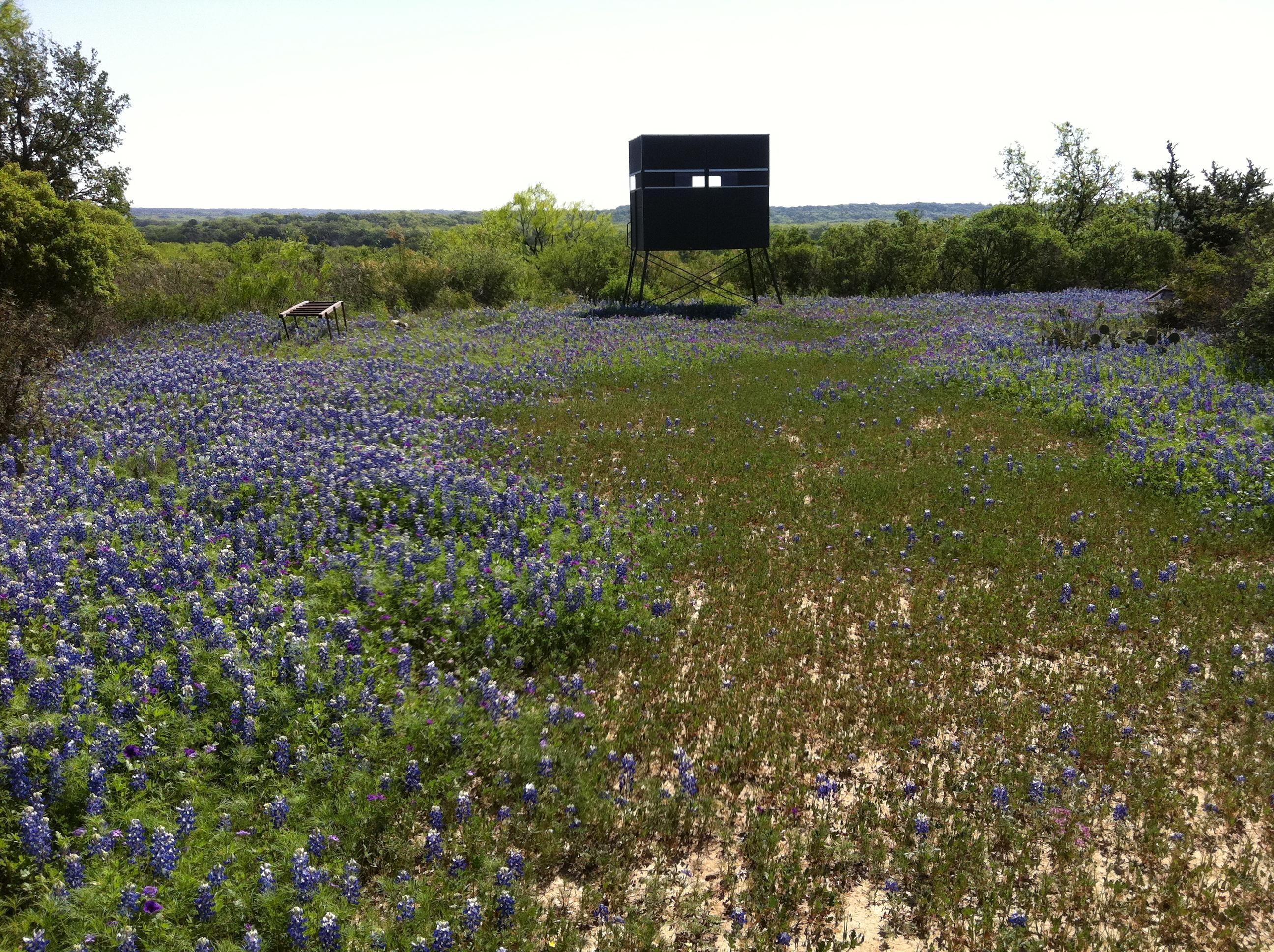 3263 FM 1028, Rochelle, TX 76872 Land and Farm