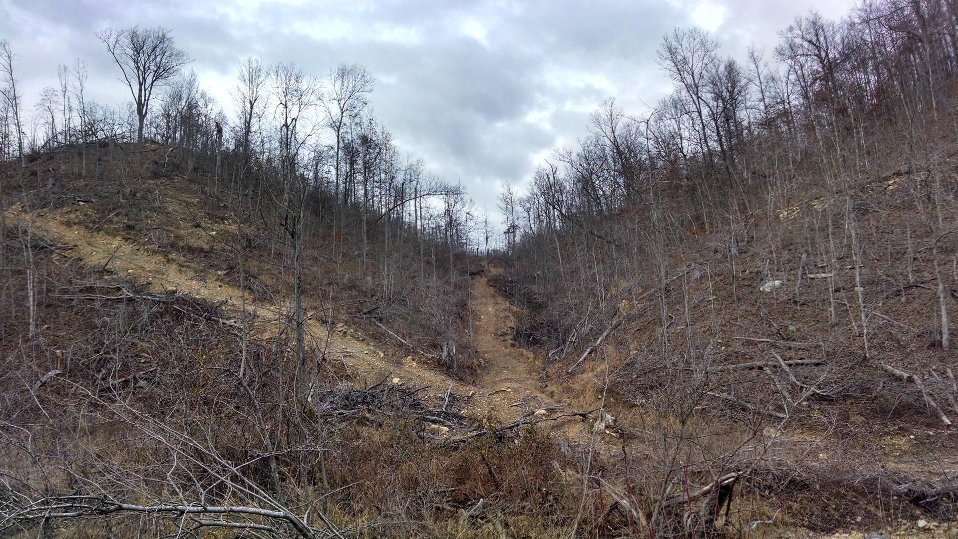 214 Acres, Dry Fork Road, South Shore, KY 41175 Land and Farm