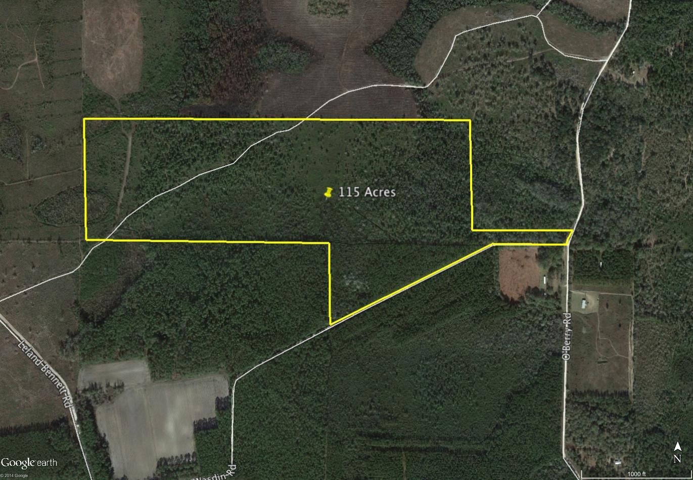 115 Acres, O'Berry Road, Millwood, GA 31552 Land and Farm