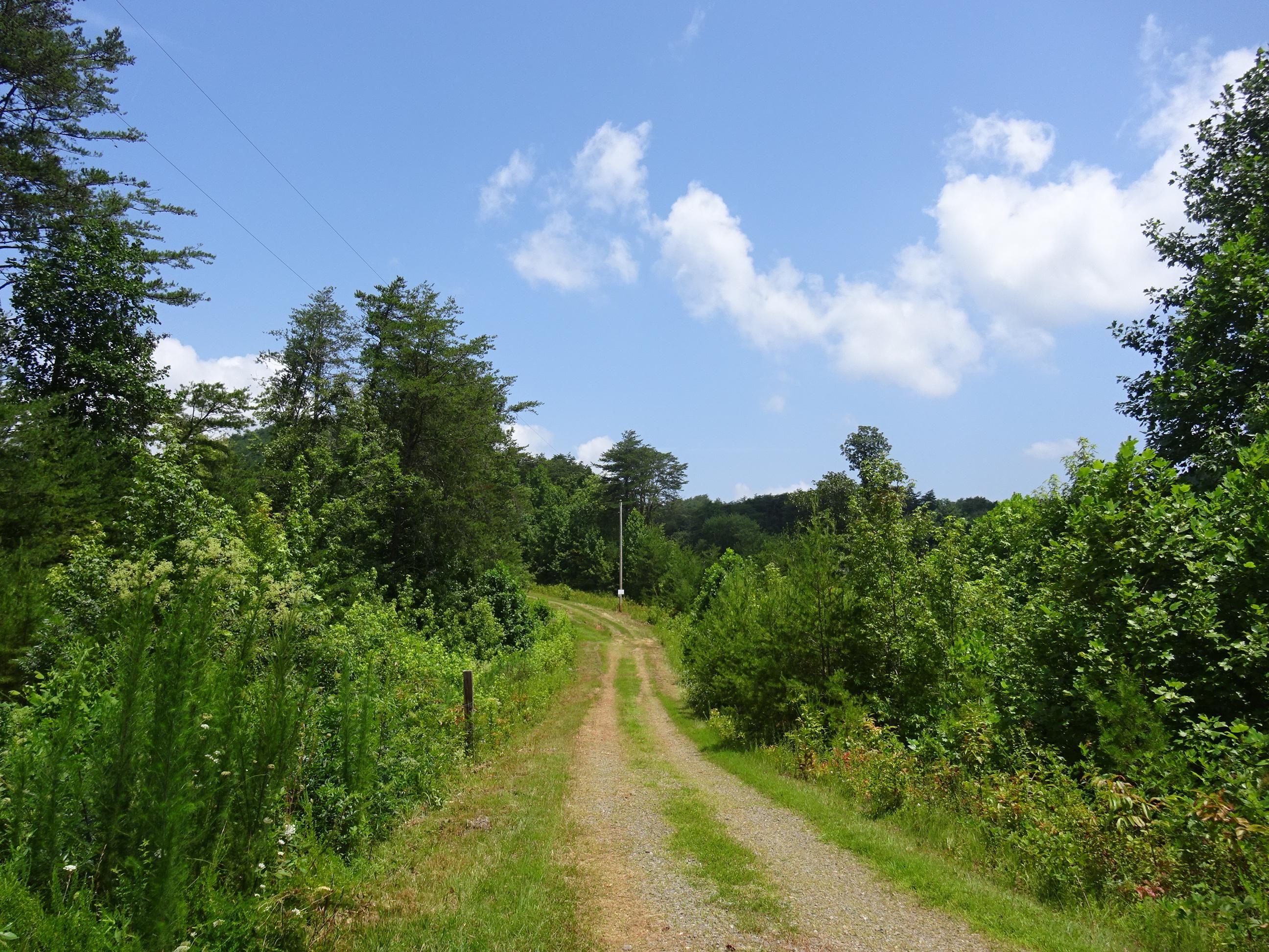 117 Acres, Kimsey Mtn Hwy, Turtletown, TN 37391 Land and Farm