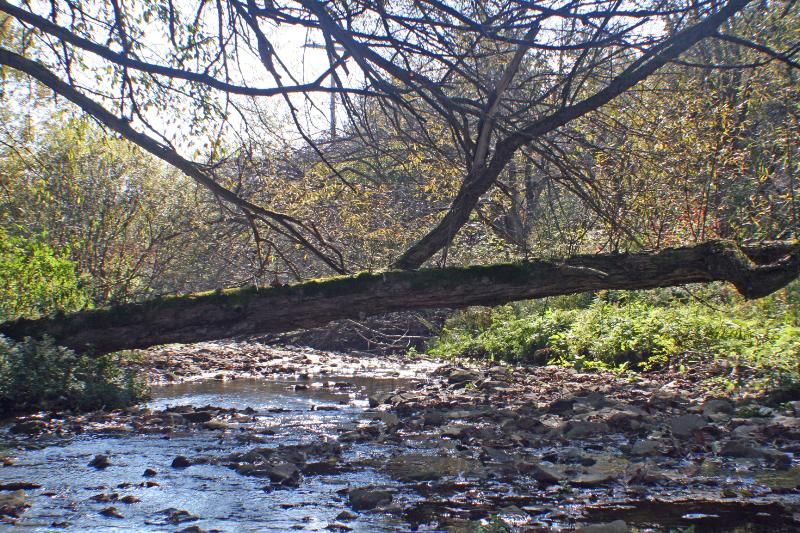 1862 Edson Road, Gerry, NY 14782 Land and Farm